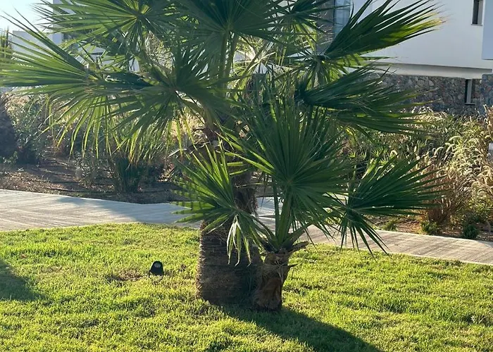 Deja Blue Διαμέρισμα *